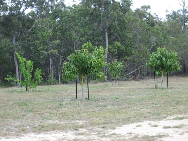 Click to view all images Avondale QLD 4670 - Image 2