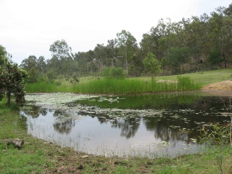 Click to view all images Good Night QLD 4671 - Image 2