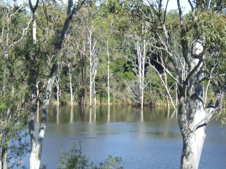 Click to view all images Bungadoo QLD 4671 - Image 1
