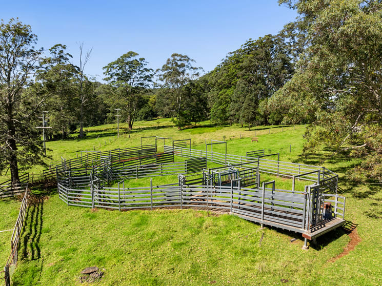Click to view all images 555 National Park Road Ravensbourne QLD 4352 - Image 3