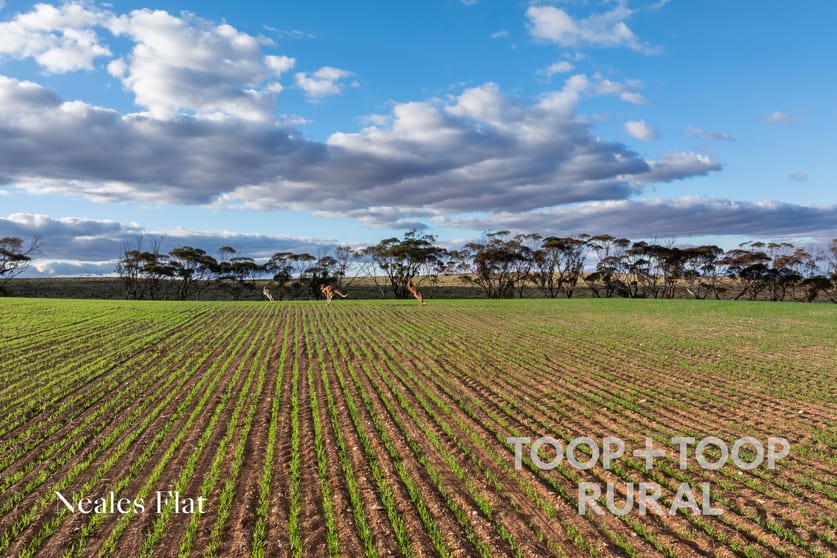 332/ Angle Road Brownlow SA 5374 - Image 2