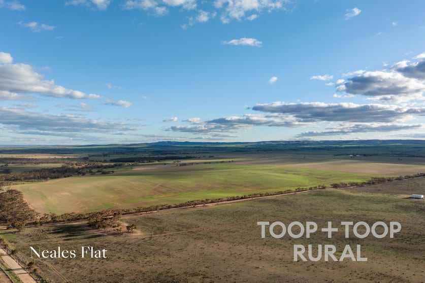 332/ Angle Road Brownlow SA 5374 - Image 3