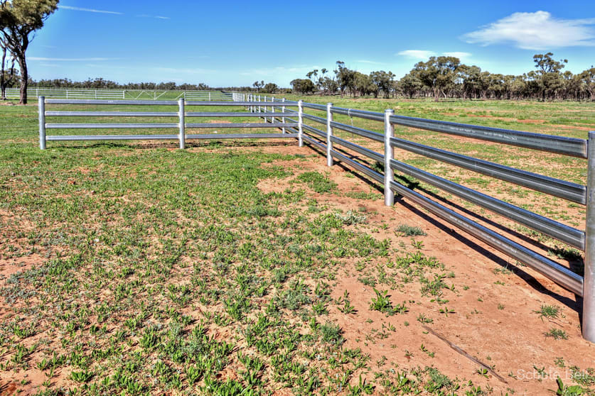 Click to view all images Narran Lake Road Brewarrina NSW 2839 - Image 1