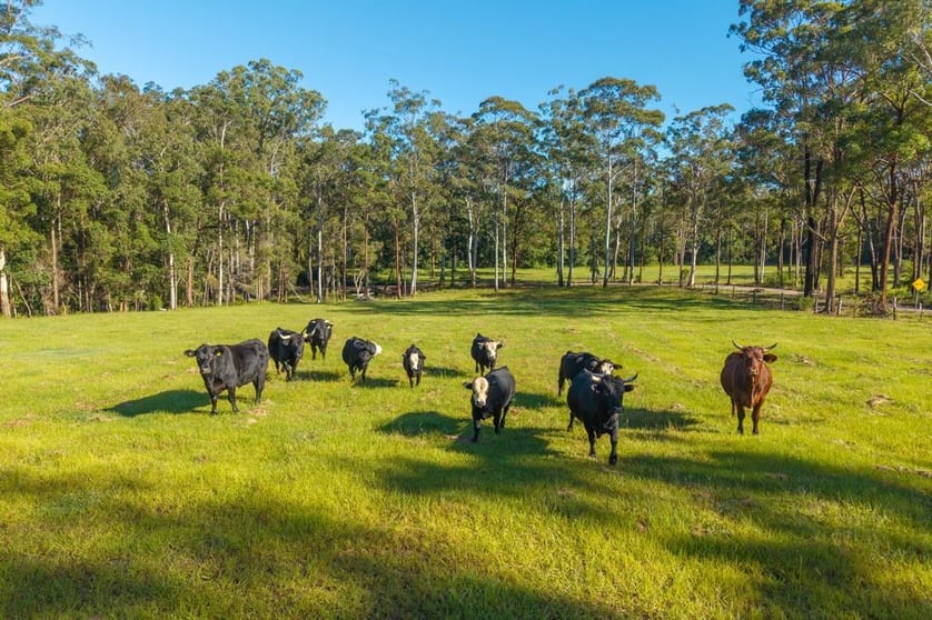 91 Haydons Wharf Road Telegraph Point NSW 2441 - Image 3