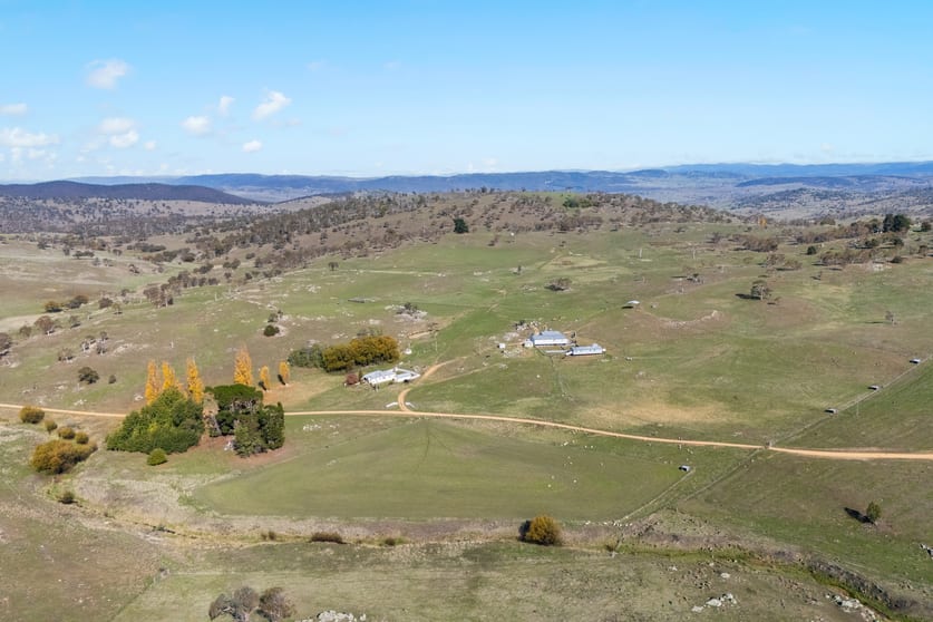 1031 Cootralantra Road Cooma NSW 2630 - Image 2