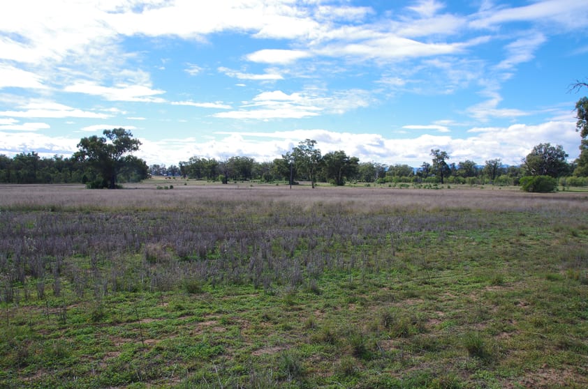 293 Highfield Lane Narrabri NSW 2390 - Image 3