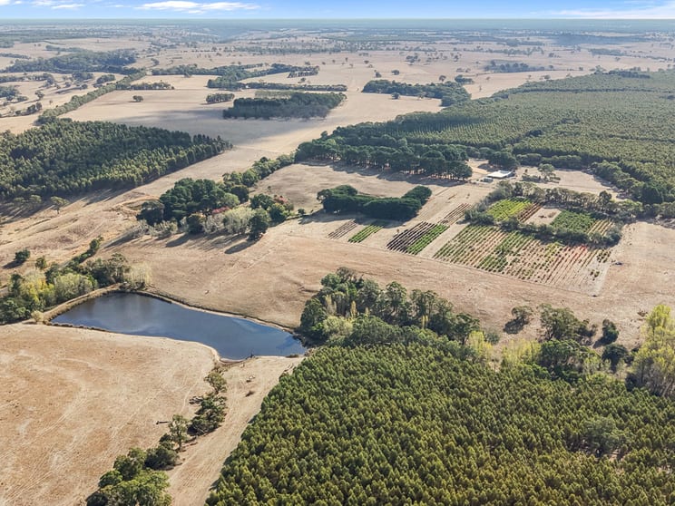 1284 Nareen Road Nareen VIC 3315 - Image 2