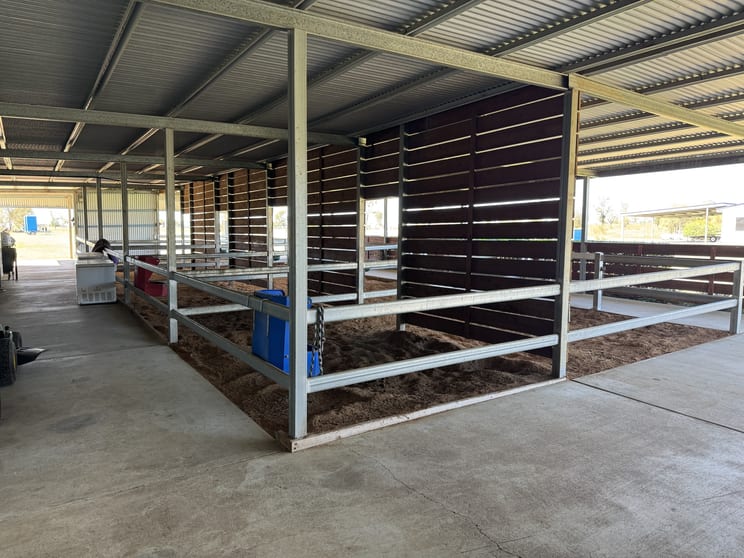172 Woodside Road Dargal Road QLD 4455 - Image 2