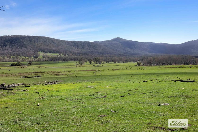 Lot 2, 100 Raglan-Elmhurst Road Raglan VIC 3373 - Image 3