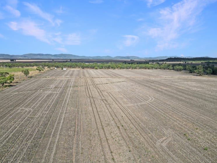 Click to view all images 8354 Kamilaroi Highway Curlewis NSW 2381 - Image 2