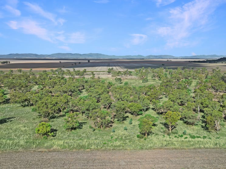Click to view all images 8354 Kamilaroi Highway Curlewis NSW 2381 - Image 3