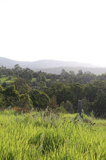 212D Norries Road Bunyah NSW 2429 - Image 1