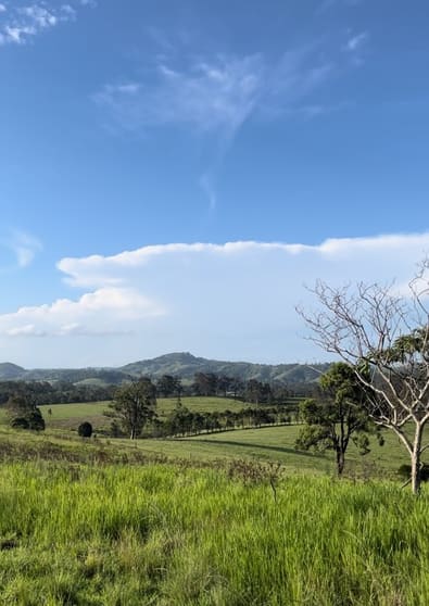 212D Norries Road Bunyah NSW 2429 - Image 3