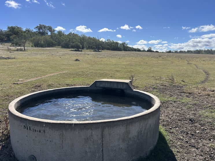 "Ballyea" Lot 16 & 127 Jondaryan Muldu Road Jondaryan QLD 4403 - Image 2