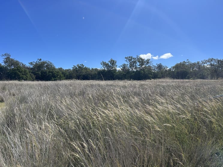 "Ballyea" Lot 16 & 127 Jondaryan Muldu Road Jondaryan QLD 4403 - Image 3