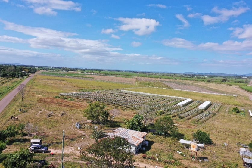 294 Mountainview Road Airville QLD 4807 - Image 2