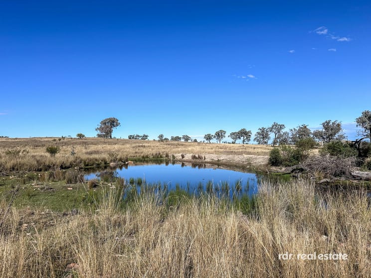 Click to view all images Lot 74 Wells Crossing Road Ashford NSW 2361 - Image 2
