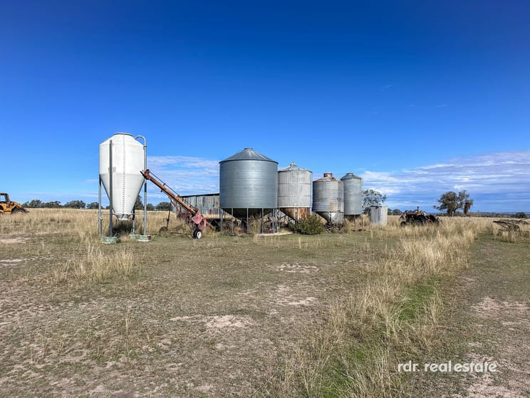 Click to view all images Lot 74 Wells Crossing Road Ashford NSW 2361 - Image 3