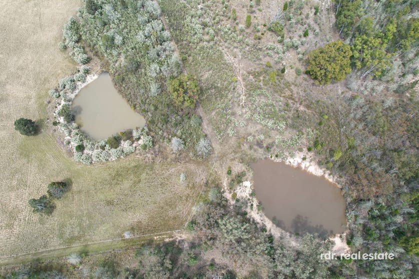 Click to view all images 164 Yammacoona Estate Road Delungra NSW 2403 - Image 3