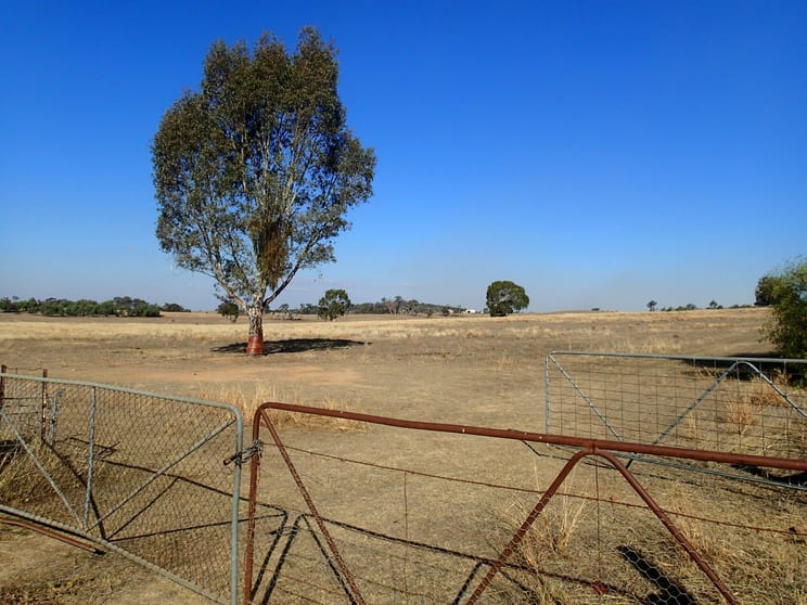 Click to view all images 5427 Slaughterhouse Road Rutherglen VIC 3685 - Image 3