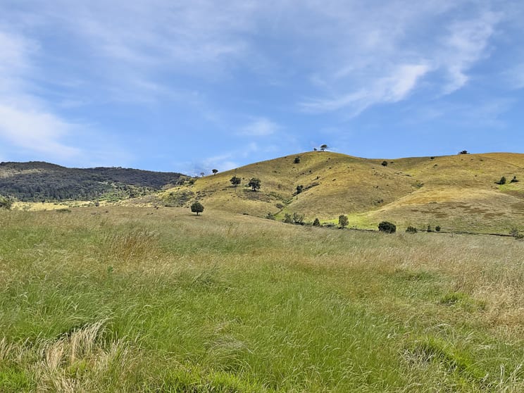 Click to view all images Mount Darling Road Wyangala NSW 2808 - Image 1
