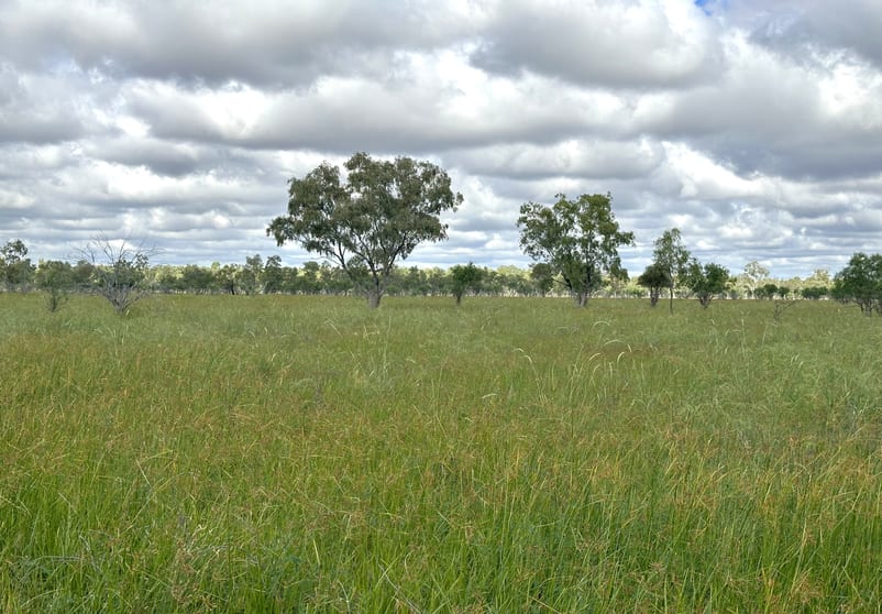 Click to view all images Barcaldine QLD 4725 - Image 3
