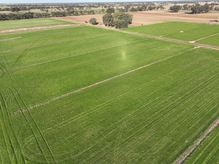 Click to view all images 104 Shinnicks Road Strathmerton VIC 3641 - Image 2