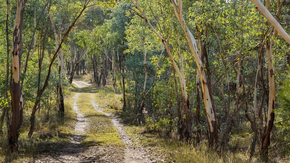 Click to view all images 5011 Obley Road Obley NSW 2868 - Image 3