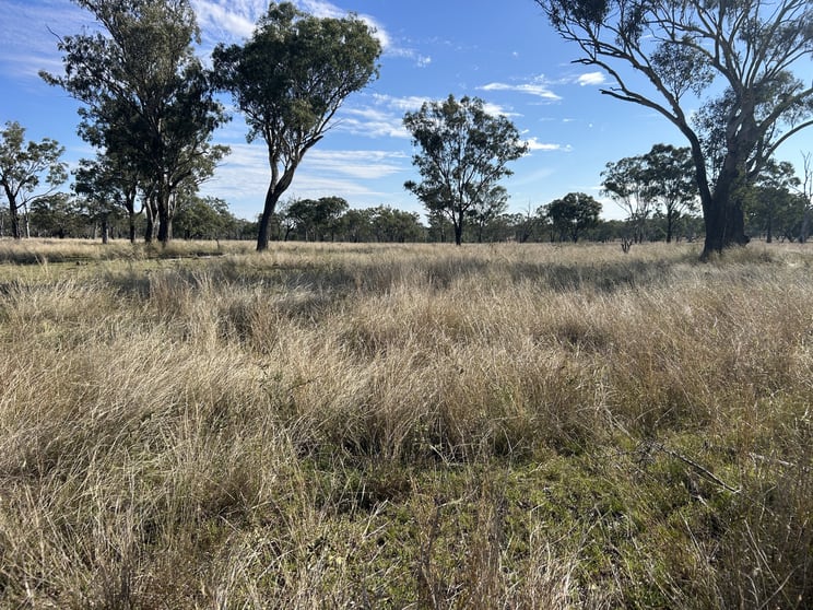 Click to view all images Kaimkillenbun QLD 4406 - Image 2