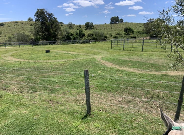 Click to view all images Milford QLD 4310 - Image 3