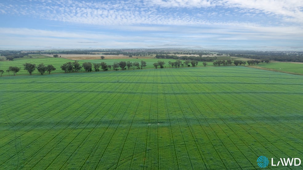 190 Walters Lane Tamworth NSW 2340 - Image 1