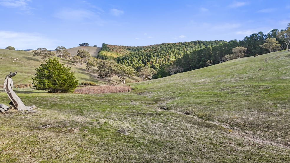 Click to view all images Lot 202 Lode Road Ashbourne SA 5157 - Image 3