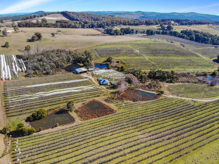129 Cottams Road Batlow NSW 2730 - Image 2