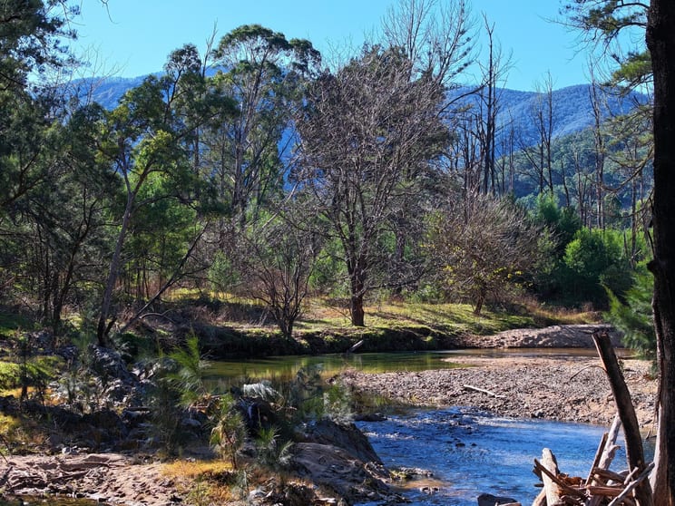Click to view all images Lot 4 Araluen Road Araluen NSW 2622 - Image 1