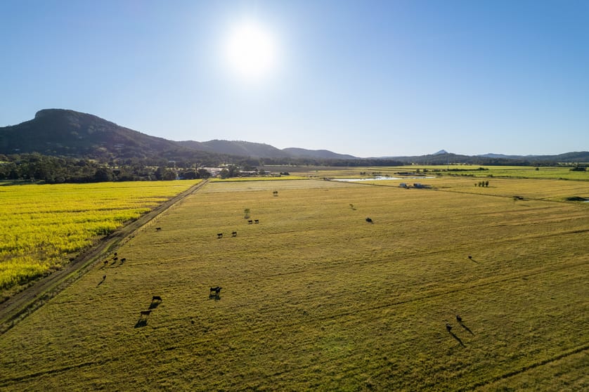Click to view all images Valdora QLD 4561 - Image 2