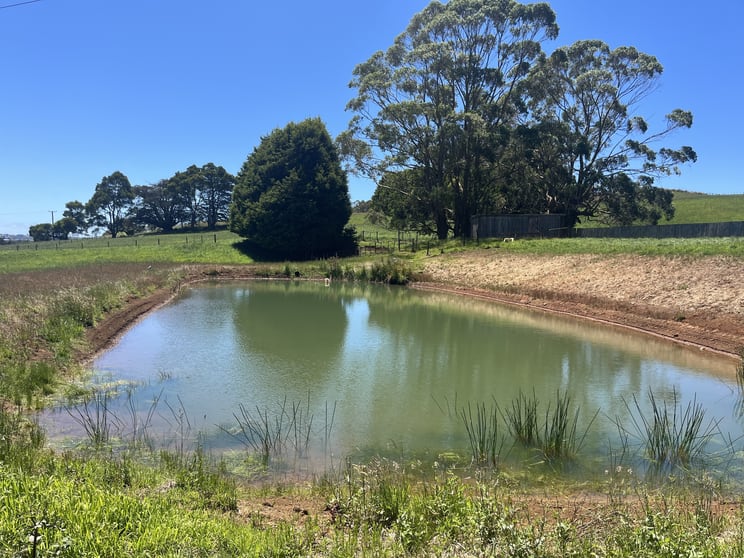 Click to view all images 117 Faheys Lane Irishtown TAS 7330 - Image 3