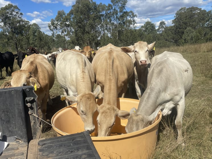 Lot 33, 34 & 35 Bilboolan Road Mungy QLD 4671 - Image 2