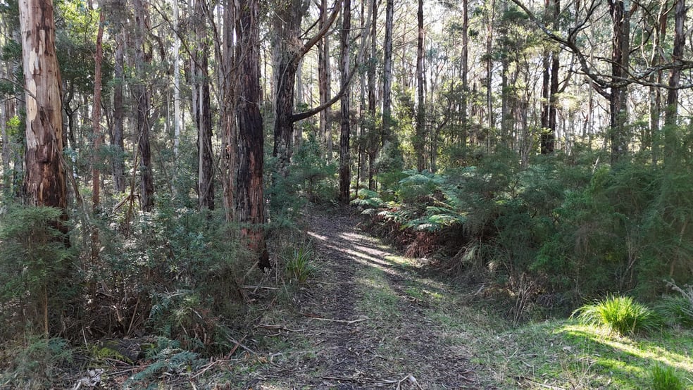 Click to view all images 318 Old Ocean Road Glenaire VIC 3238 - Image 2