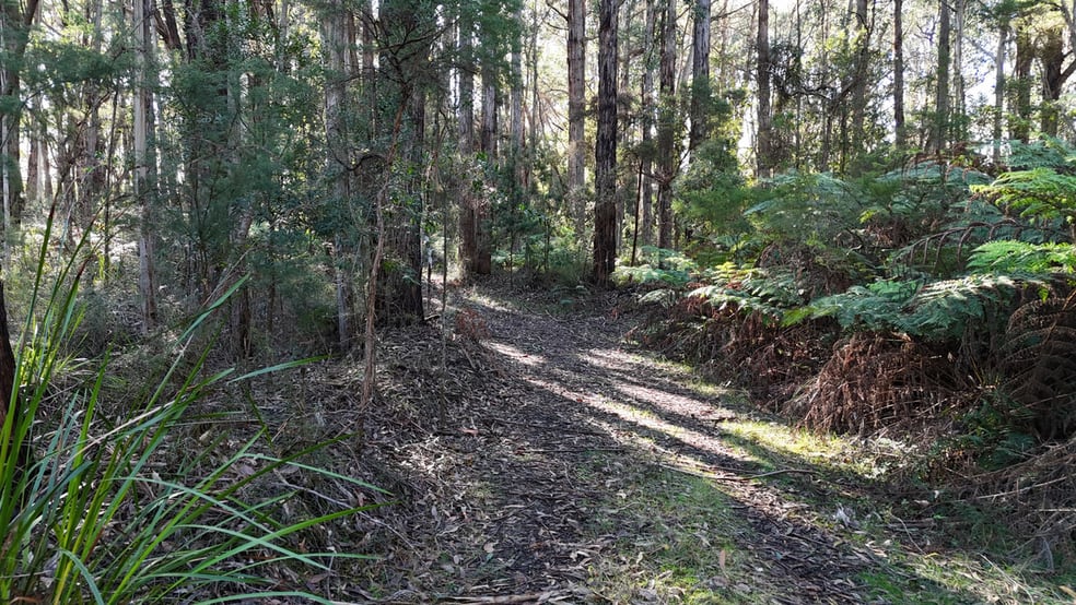 Click to view all images 318 Old Ocean Road Glenaire VIC 3238 - Image 3