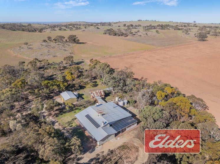 Click to view all images 58 Oaklands Road Dutton SA 5356 - Image 1