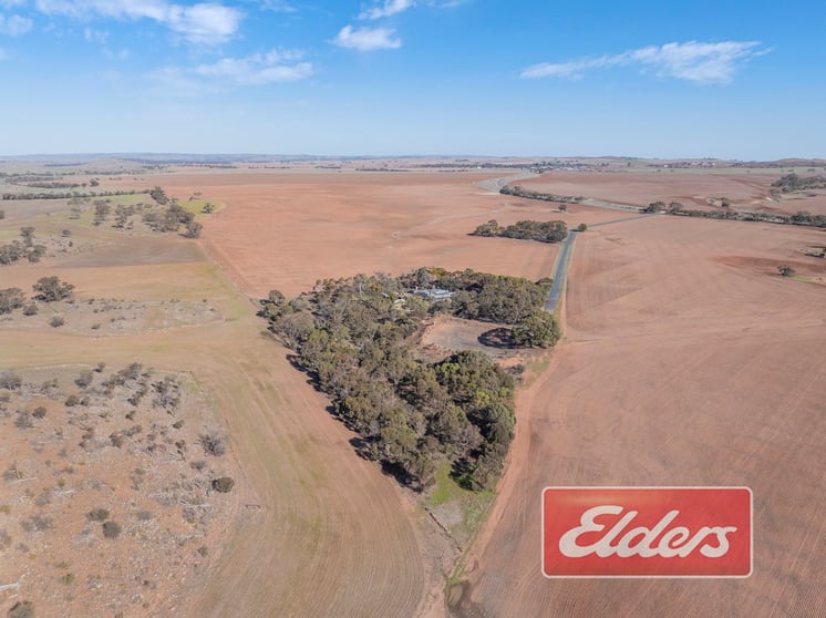 Click to view all images 58 Oaklands Road Dutton SA 5356 - Image 2