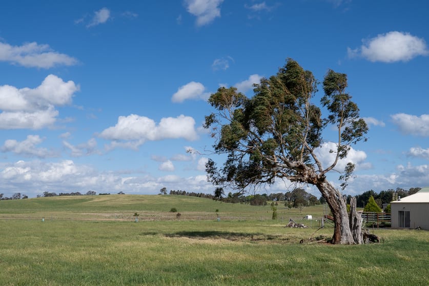 49 Eves Lane Millthorpe NSW 2798 - Image 2