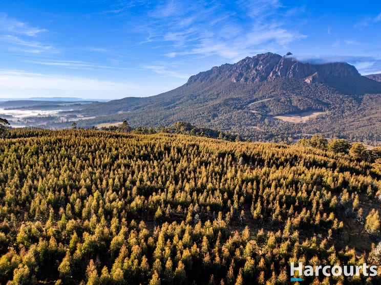 Click to view all images 220 Holmes Road Roland TAS 7306 - Image 3
