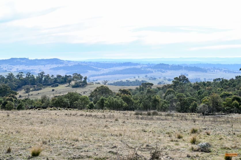 "The Big Hill" Matong Road Jimenbuen NSW 2628 - Image 1