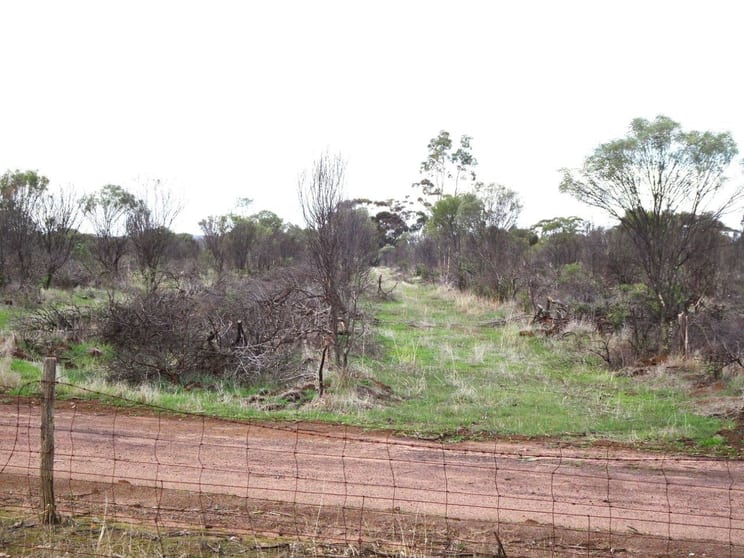 Click to view all images 857 Dwelyerdine Road Toolibin WA 6312 - Image 2