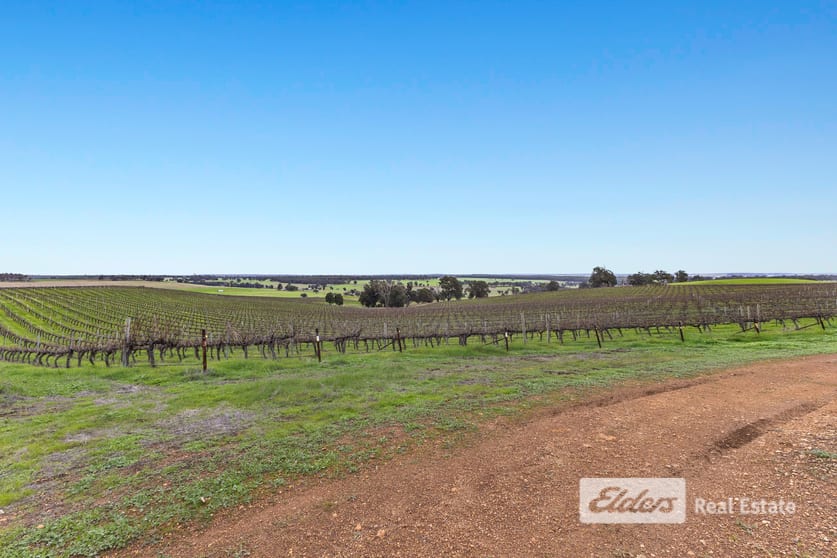 Lot 226 &/248 Wagner Road Scotts Brook WA 6244 - Image 1