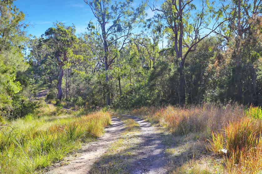 Click to view all images 97 Myall River Road Bulahdelah NSW 2423 - Image 2