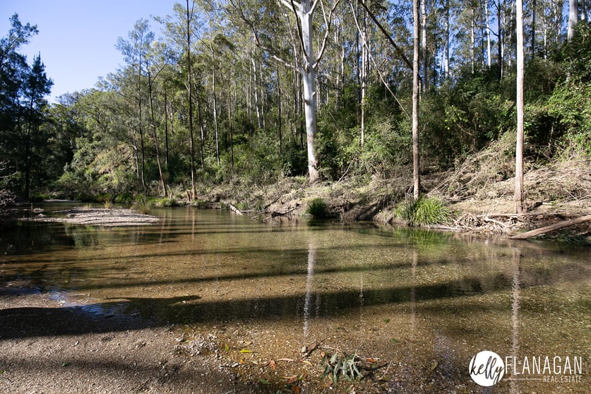 1584 Nulla Nulla Creek Road Bellbrook NSW 2440 - Image 3