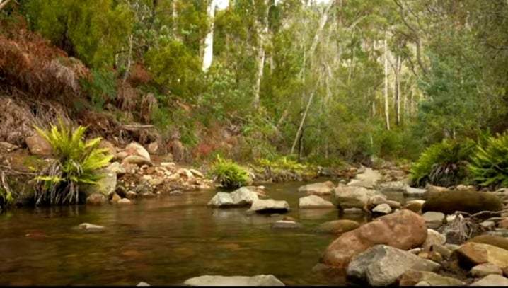 Click to view all images 101 Stinging Nettle Gully Road Molesworth TAS 7140 - Image 3