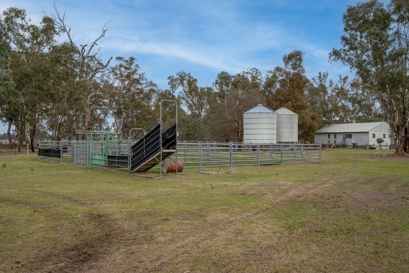 Click to view all images Lot 38 Pranjip Road Pranjip VIC 3666 - Image 3